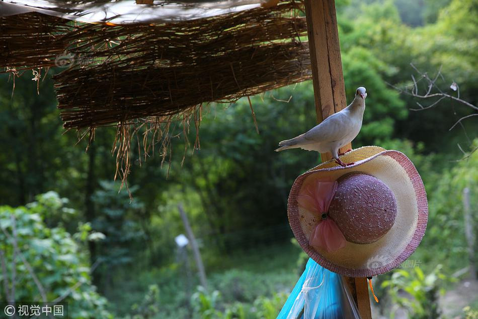 Nhờ việc chia sẻ clip nấu các món đặc sản địa phương theo phong cách "nguyên sinh", thu nhập của cô gái trẻ Trương Phương lên tới 20.000 tệ/tháng (khoảng 70 triệu đồng).