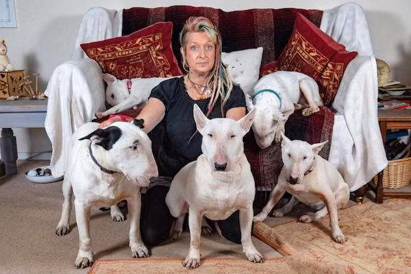 Cô Liz Haslam, 49 tuổi, ở Barnham, Suffolk, Anh là một người yêu chó. Cô nuôi tới hơn 30 chú chó cưng trong nhà mình, yêu thương chúng như những đứa trẻ. Chẳng ngờ, những chú chó lại khiến cuộc sống hôn nhân của cô gặp sóng gió và cuối cùng tan vỡ.