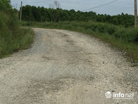 Con đường dẫn đến trang trại bò Bình Hà đóng tại địa bàn 2 xã Kỳ Hợp và Kỳ Tây xuống cấp, hư hỏng nặng.