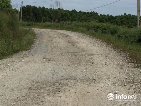 Con đường dẫn đến trang trại bò Bình Hà đóng tại địa bàn 2 xã Kỳ Hợp và Kỳ Tây xuống cấp, hư hỏng nặng.