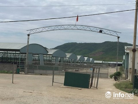 Cổng trang trại bò Bình Hà vắng ngắt, khác hẳn thời điểm có hàng nghìn con bò được nhập về đây.