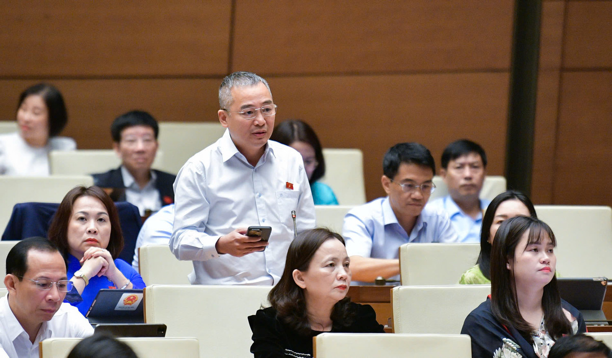 ĐBQH: Cần nghiêm trị hành vi phá hoại môi trường dù là nhỏ nhất - Hình 2 DBQH: Can nghiem tri hanh vi pha hoai moi truong du la nho nhat-Hinh-2