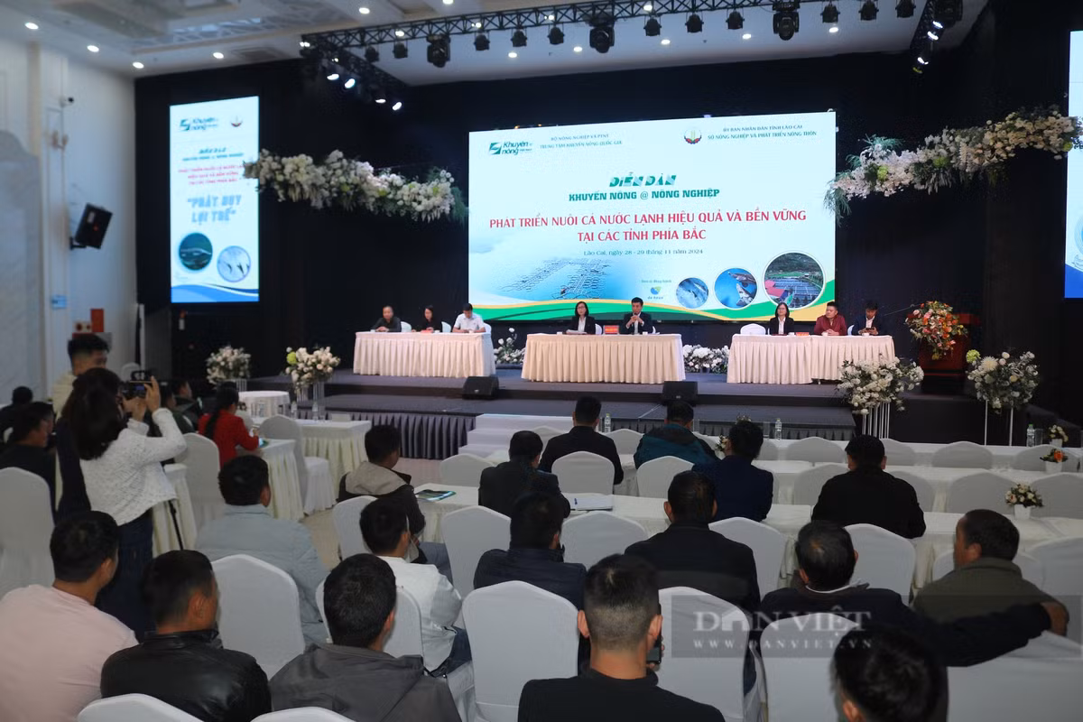 Nuôi cá nước lạnh phát triển mạnh, nông dân miền núi giàu lên hẳn - Hình 7 Nuoi ca nuoc lanh phat trien manh, nong dan mien nui giau len han-Hinh-7