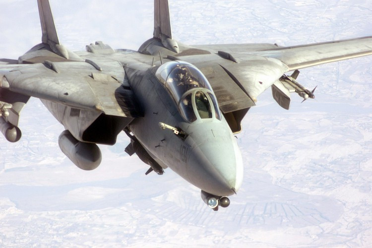 F-14 Tomcat mang được phần lớn các loại bom hiện có trong không quân Mỹ, tổng trọng lượng vũ khí đạt 5,9 tấn. Lớn hơn một chút so với đối thủ Su-33 của Nga.