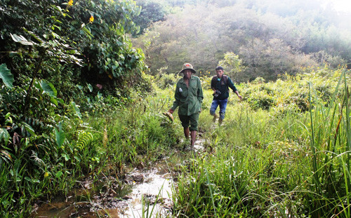 Vùng sình lầy Bàu Chim nơi con tê giác 1 sừng cuối cùng hay về tắm bùn và liếm đất tìm chất khoáng.