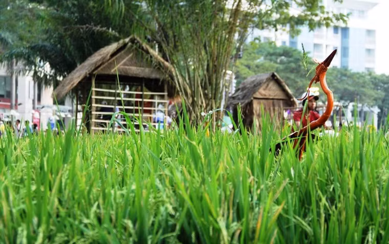 Những cánh đồng lúa, những con đường mòn ở ruộng lúa, mái nhà tranh…rất làng quê được tái hiện ở hội hoa xuân. “Nhìn hình ảnh cánh đồng lúa với những người rơm tôi nhớ nhà quá. Tết này tôi không về nên cũng buồn”, chị Nguyễn Quỳnh Trang ngụ quận 7 chia sẻ. 