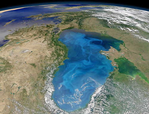 Bien Chet co su song?