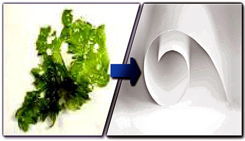 Phat minh huu ich: Su dung tao lam giay