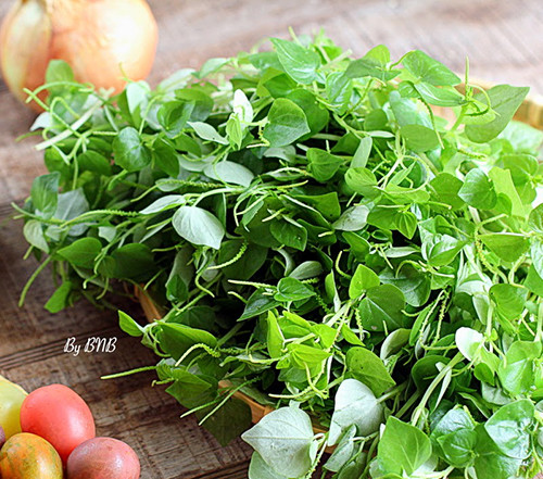 Rau cang cua chua chung dau moi co khop