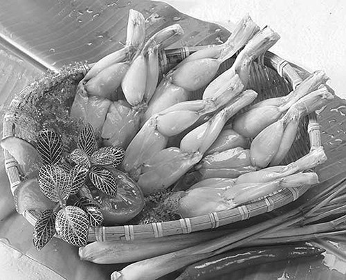 10 mon an bai thuoc tu ech vùa ngon vùa hiẹu nghiẹm