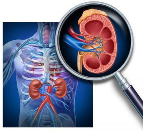 8 benh ly ve than rat hay gap ma ban nen biet