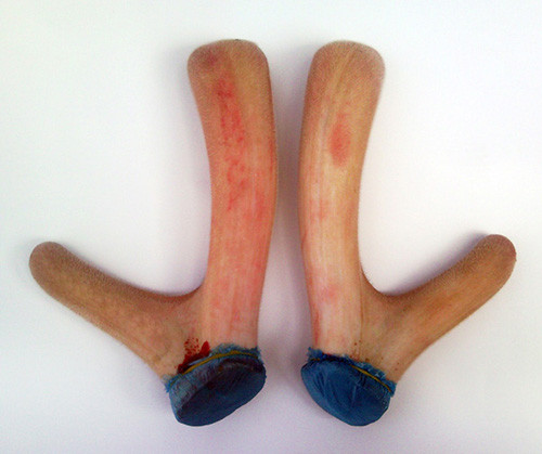 Dàn ong dùng dùng nhung huou tang khả nang tình dục?