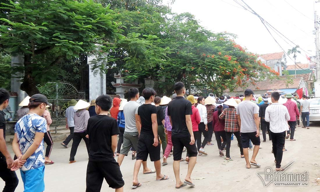 Chim tau ca o Bach Long Vi, trang khan tang tien nan nhan ve dat me-Hinh-7