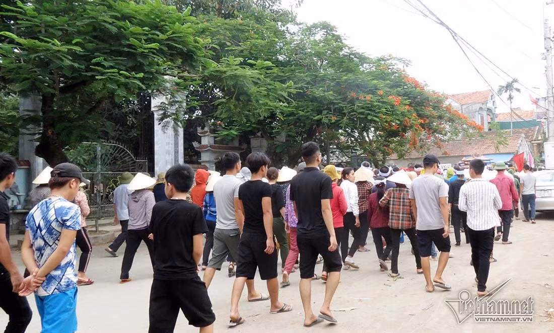 Chim tau ca o Bach Long Vi, trang khan tang tien nan nhan ve dat me-Hinh-7