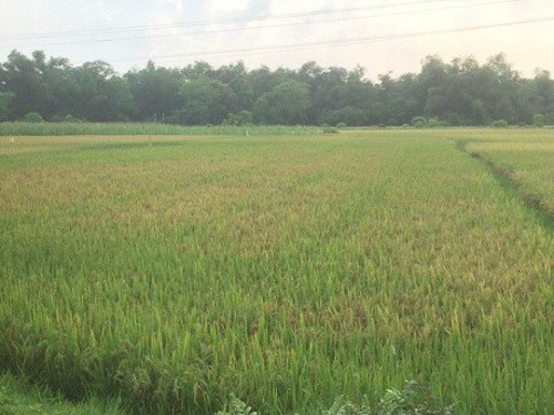 Hiep dam bat thanh, nam thanh nien bi co gai goi nguoi nha ra danh