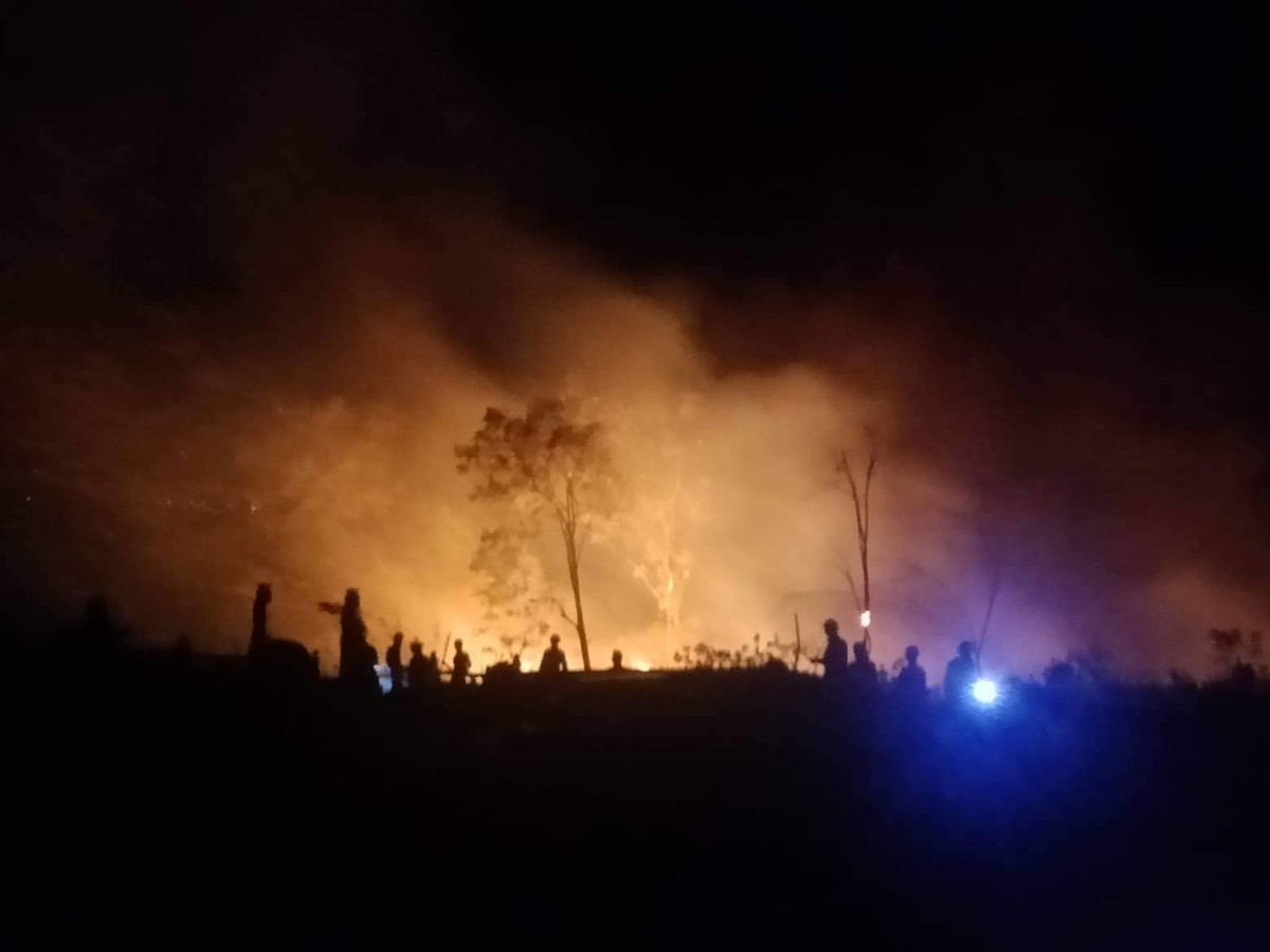 Hang loat vu chay rung o Quang Binh, Nghe An, Ha Tinh-Hinh-4