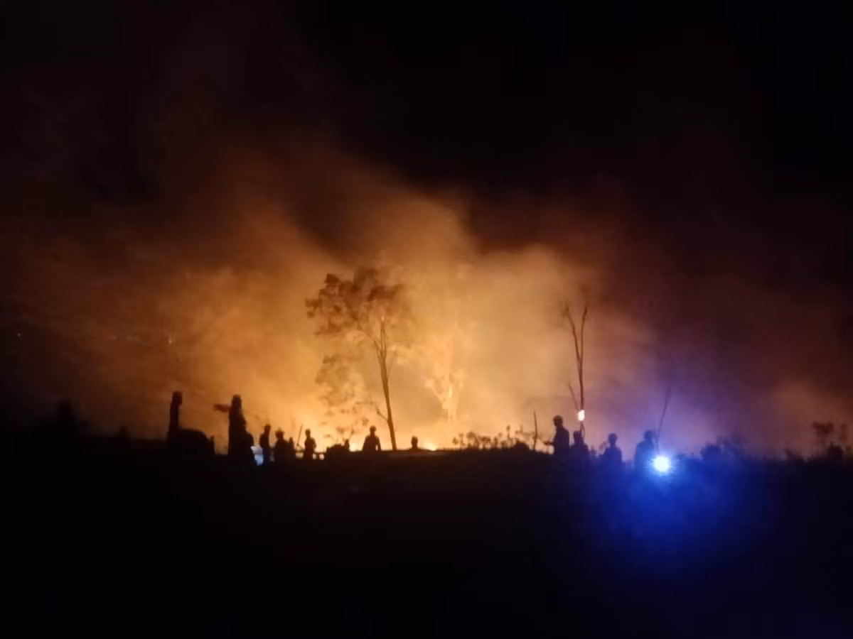 Hang loat vu chay rung o Quang Binh, Nghe An, Ha Tinh-Hinh-4