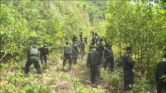 Hang loat vu chay rung o Quang Binh, Nghe An, Ha Tinh-Hinh-3