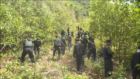 Hang loat vu chay rung o Quang Binh, Nghe An, Ha Tinh-Hinh-3