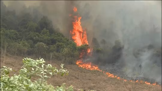 Hang loat vu chay rung o Quang Binh, Nghe An, Ha Tinh