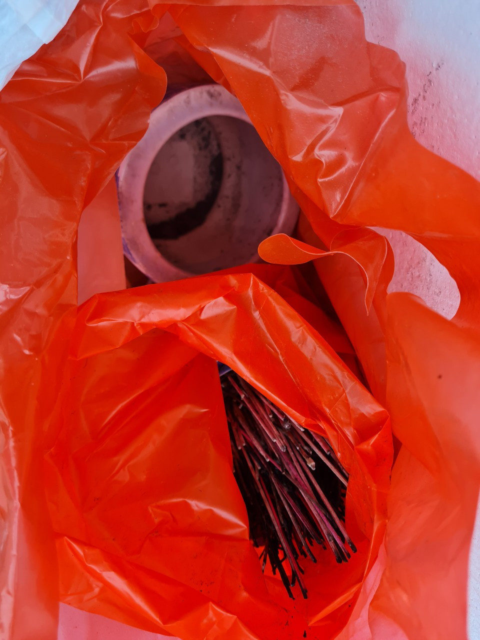 Thay bat nhang, co nhat dinh phai tha xuong song, ho?-Hinh-2