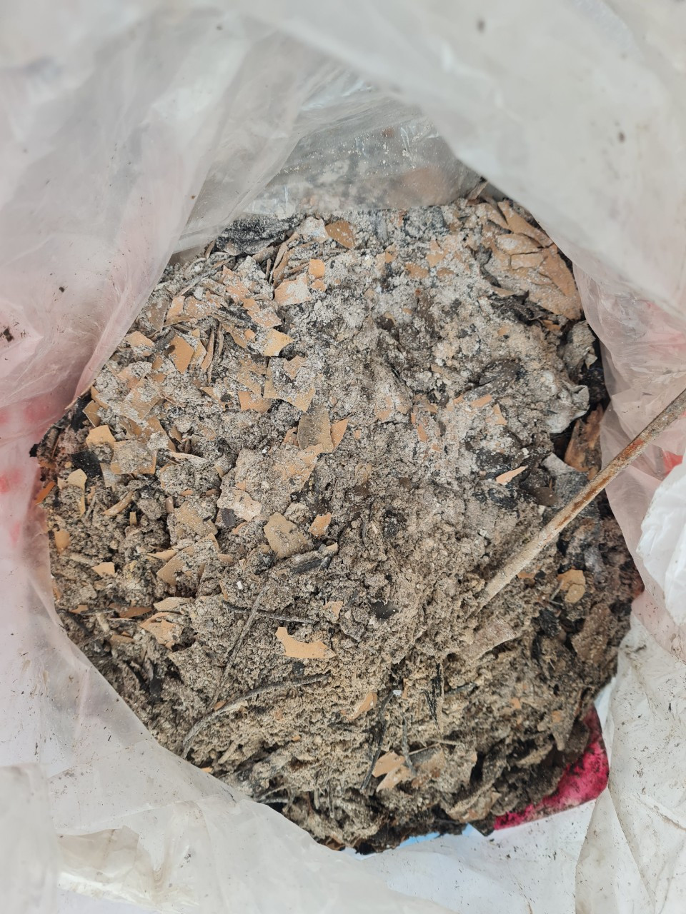 Thay bat nhang, co nhat dinh phai tha xuong song, ho?