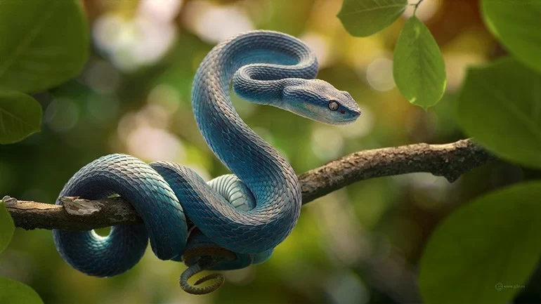 Sự cần cù và không ngừng nỗ lực là bí quyết để mở ra những thành công mà người tuổi Tị luôn hướng tới. Bản mệnh không chỉ xác định mục tiêu mà còn kiên định theo đuổi chúng, mang lại những thành quả xuất sắc, thường vượt xa sự kỳ vọng.