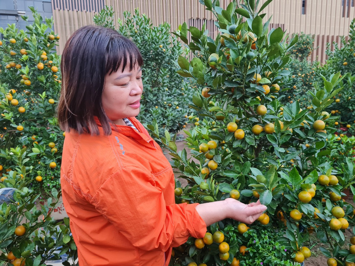 Quat Quang Ba – net Tet rat rieng cua nguoi Ha Noi-Hinh-2