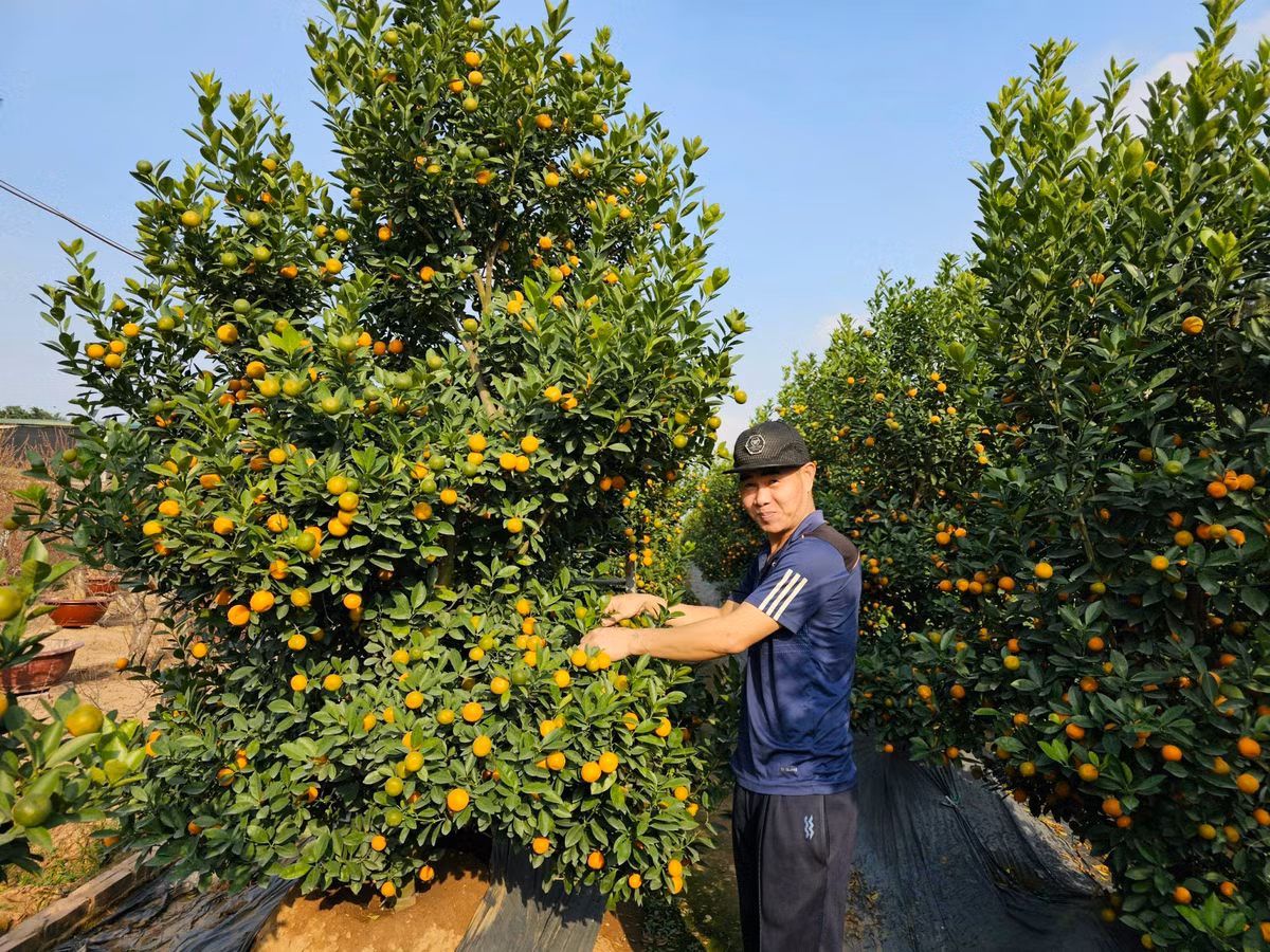 Quat Quang Ba – net Tet rat rieng cua nguoi Ha Noi-Hinh-4