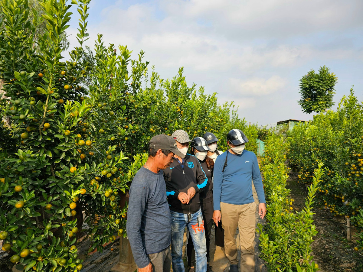 Thu phu quat Ha Noi than troi vi e, chap nhan ha gia