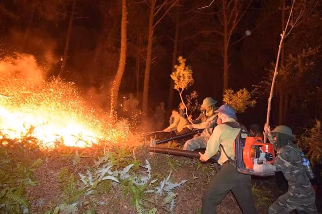 Lang nguoi nhung dong se chia chong chay rung o Ha Tinh tren MXH-Hinh-4