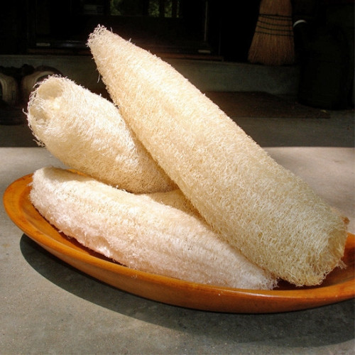 Cuối cùng bạn cũng có thể sử dụng sơ mướp để điều hòa khí huyết. Cách dùng đơn giản nhất là hầm canh xơ ướp để uống hàng ngày. Sau 2-3 ngày sử dụng sẽ có hiệu quả tốt. Nguồn ảnh: Kênh sức khỏe.