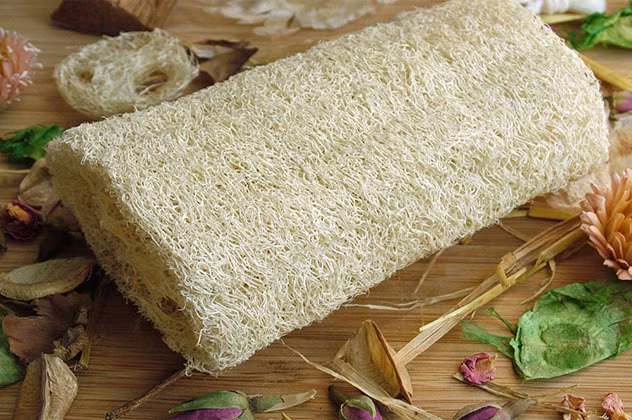 Giảm đau lưng bằng xơ mướp cũng rất hiệu quả.