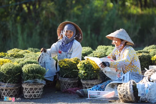 Nơi đây ươm mầm gần 2.000 loại hoa kiểng với diện tích trồng hơn 85 ha, và có gần 2.000 hộ dân làm nghề.
