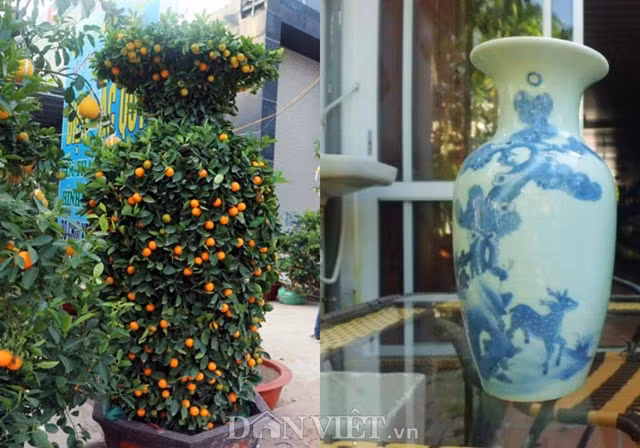 Man nhan cap quat Tet dang loc binh gia 