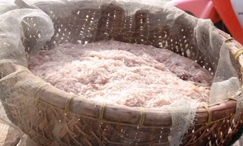 Dau nam ngu dan trung hang tram trieu nho “loc troi”