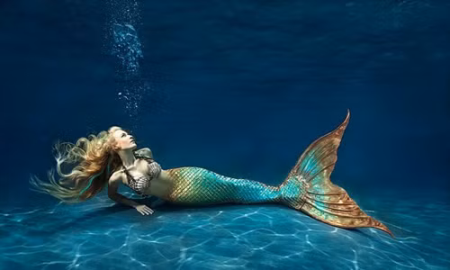 Cho đến nay, giới chuyên gia vẫn đặt nghi vấn về tính xác thực của những câu chuyện, truyền thuyết... về nàng tiên cá. Mặc dù chưa tìm ra bằng chứng có thể khẳng định nàng tiên cá thực sự tồn tại nhưng sinh vật bí ẩn này đã trở thành một hình ảnh đẹp trong tâm trí của không ít người.