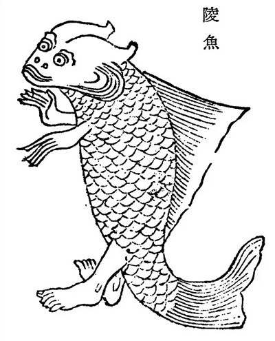 Trong đó, sinh vật bí ẩn này được gọi là lingyu hay renyu. Theo đó, lingyu được miêu tả có gương mặt của con người, thân mình cá và sống ở biển. Ngoài lingyu, nàng tiên cá còn có nhiều loại khác nhau được đề cập trong Shan Hai Jing như chiru, diren và huren. Chúng được miêu tả có chiều cao khoảng 1,2m và phát ra âm thanh giống như tiếng trẻ con khóc.