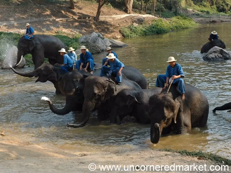 Chiang Mai ở Thái Lan nổi tiếng với nhiều ngôi chùa Phật giáo và các khu chợ náo nhiệt.