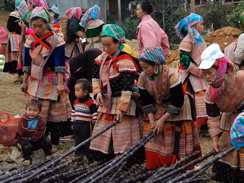 Địa danh Việt Nam tiếp theo được Business Insider giới thiệu cho những du khách lần đầu đến Đông Nam Á là Sapa. Khi đến nơi đây, du khách sẽ choáng ngợp trước những thửa ruộng bậc thang tuyệt đẹp và có cơ hội gặp gỡ các dân tộc thiểu số. Đi tham quan, mua sắm tại chợ Bắc Hà là một trải nghiệm lý thú.