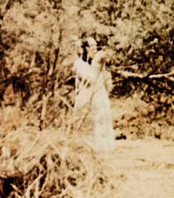 Reverend R.S. Blance ở Corroboree Rock, Australia đã chụp được bức ảnh ma quái này năm 1959. Bức hình gây chú ý với một bóng người đang đi lang thang trong rừng mặc dù khi chụp ảnh không có ai ở đó.