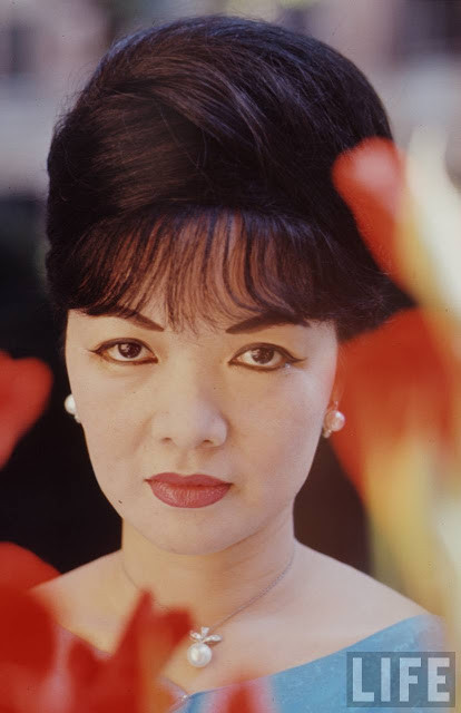 Ông Nhu làm cố vấn cho anh trai là Ngô Đình Diệm - người đứng đầu chính quyền ở miền nam Việt Nam từ năm 1955 - 1963.