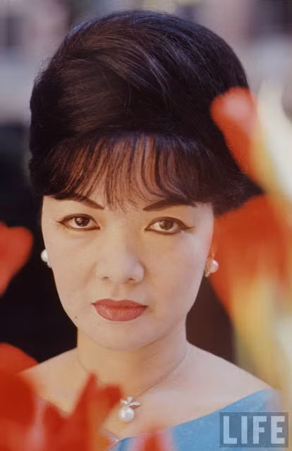 Ông Nhu làm cố vấn cho anh trai là Ngô Đình Diệm - người đứng đầu chính quyền ở miền nam Việt Nam từ năm 1955 - 1963.