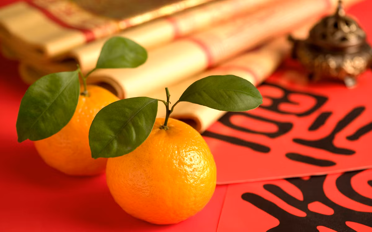 Người Singapore cũng tặng nhau những quả quýt chín mọng nước tượng trưng cho sự may mắn. Đặc biệt, những món quà này phải có đôi, có cặp bởi người Singapore quan niệm rằng, nếu tặng số lẻ thì sẽ đem đến xui xẻo, vận rủi.