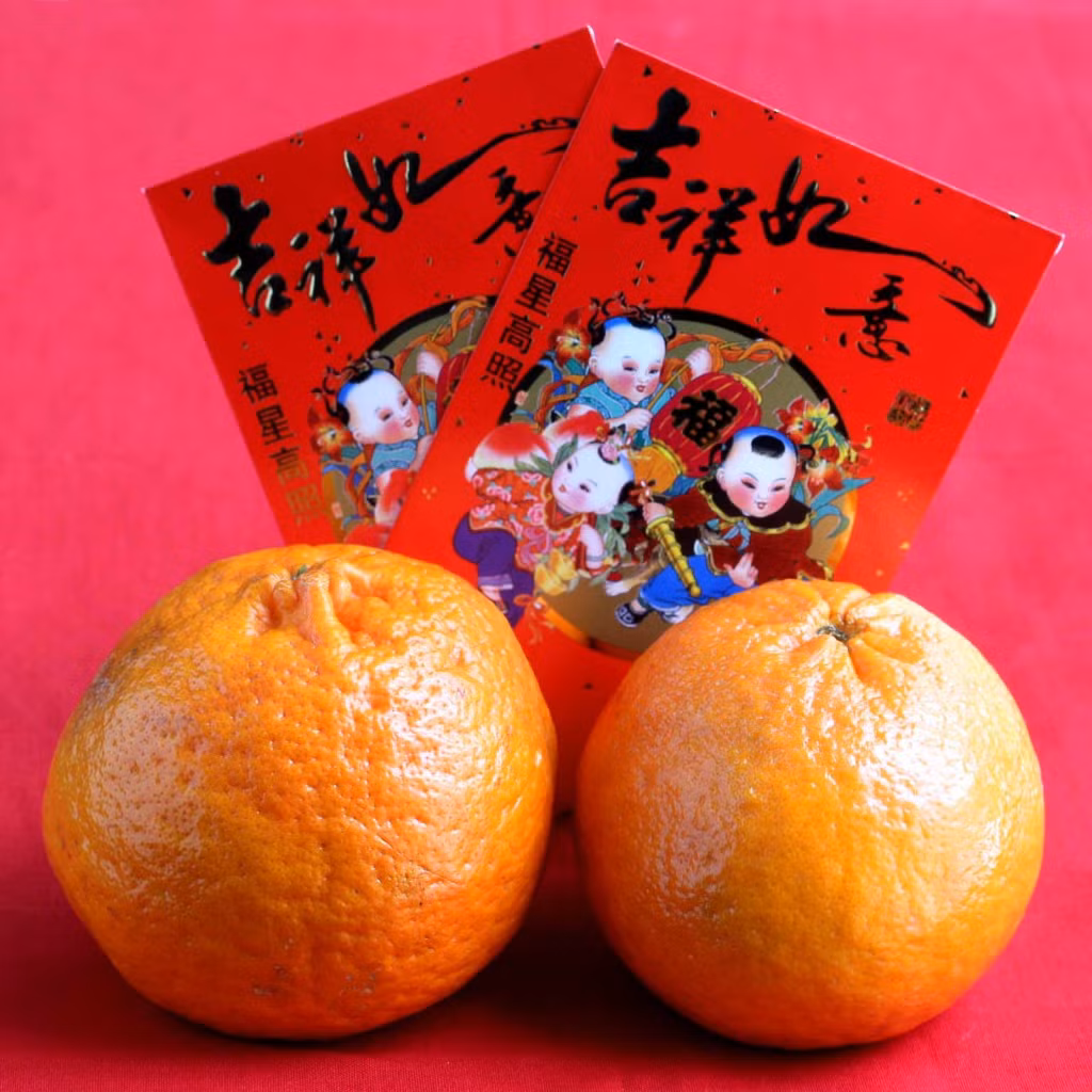 Phong tục biếu cam quýt dịp Tết Âm lịch này còn phát triển nhờ thú chơi chữ của người Trung Quốc xưa. Theo đó, trong tiếng Hán, chữ “cam” phát âm gần giống như “giàu có”, còn chữ “quýt” phát âm gần giống “may mắn”.