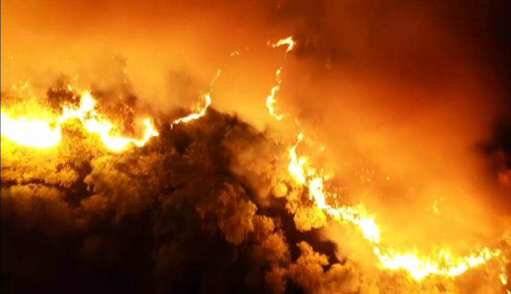 Cháy rừng lịch sử tại Hà Tĩnh: Những hình "nhói lòng" - Hình 2 Chay rung lich su tai Ha Tinh: Nhung hinh