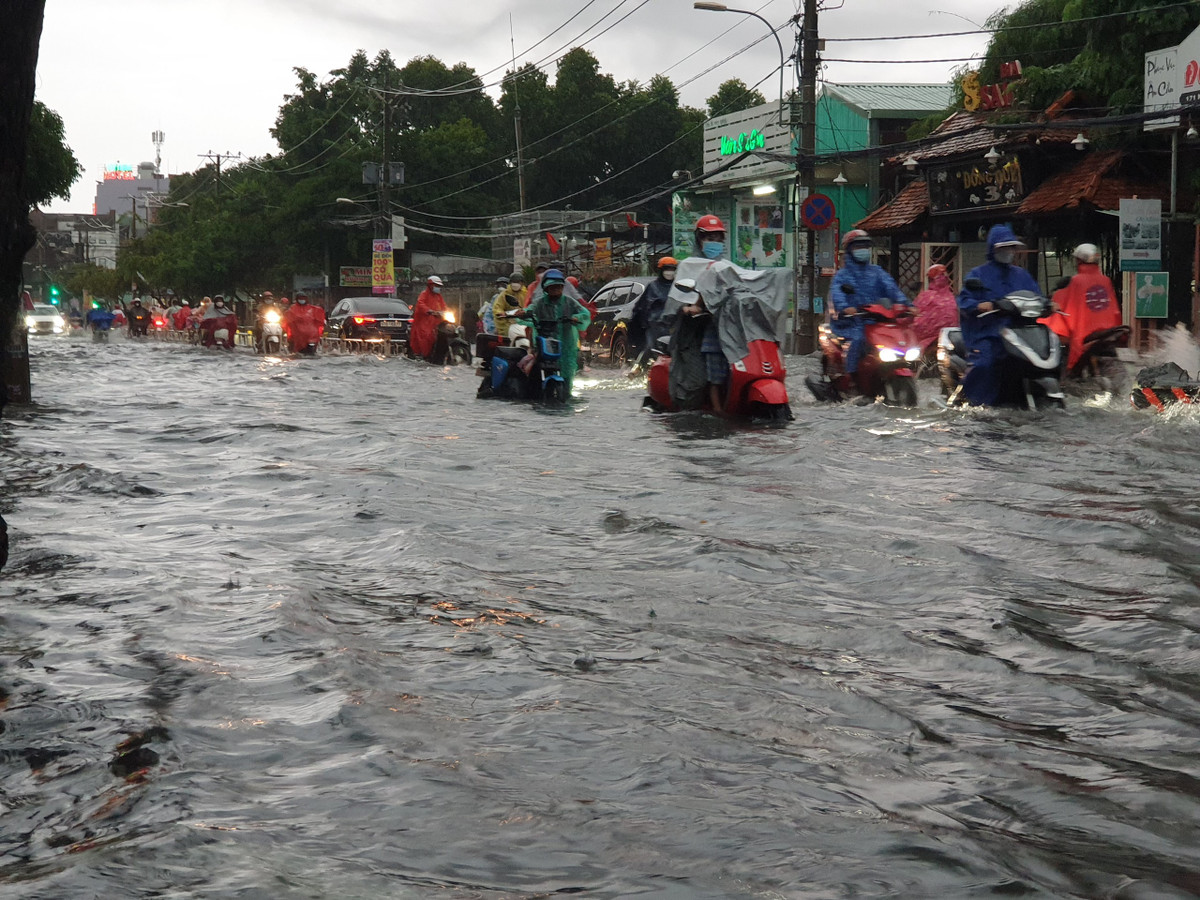 TPHCM: Mưa xuống là ngập nhưng chống ngập mới chỉ nhỏ lẻ - Hình 5 TPHCM: Mua xuong la ngap nhung chong ngap moi chi nho le-Hinh-5