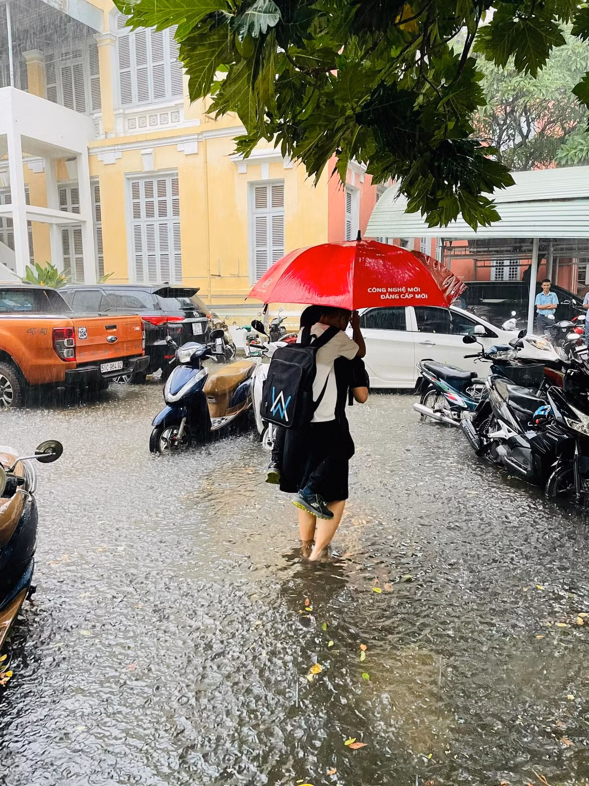 TPHCM: Mua xuong la ngap nhung chong ngap moi chi nho le