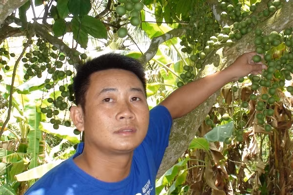 Ky di nui Cam: Cua cay ra mau va dot nhang khong chay