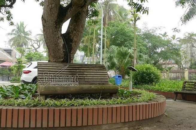 Ghế đá Bác Hồ ngồi trò chuyện cùng cán bộ, lãnh đạo nhà máy Dệt Nam Định ngày 21/5/1963 trong khuôn viên dinh thự nhân dịp về thăm nhà máy.